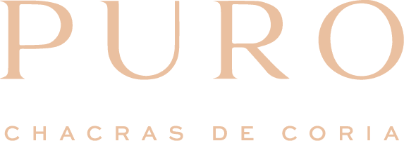 Hotel Logo